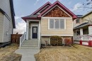156 Copperfield Rise Se, Calgary, AB  - Outdoor 