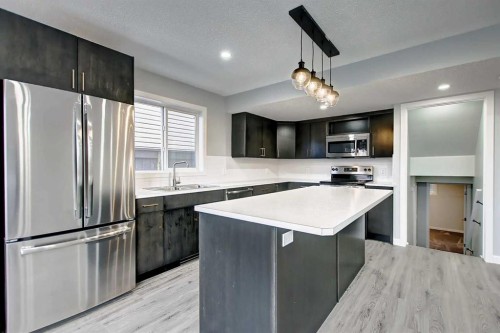 156 Copperfield Rise Se, Calgary, AB - Indoor Photo Showing Kitchen With Stainless Steel Kitchen With Double Sink With Upgraded Kitchen