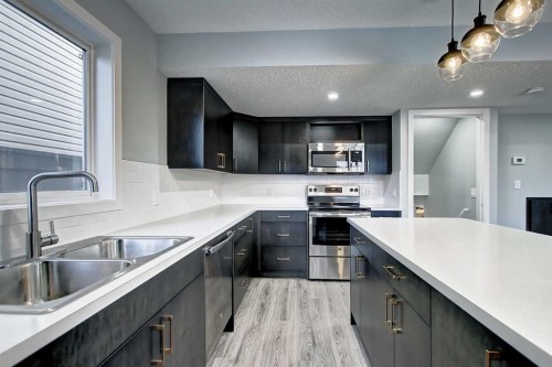 156 Copperfield Rise Se, Calgary, AB - Indoor Photo Showing Kitchen With Double Sink With Upgraded Kitchen