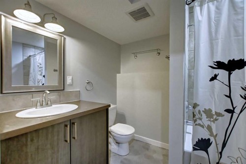 156 Copperfield Rise Se, Calgary, AB - Indoor Photo Showing Bathroom