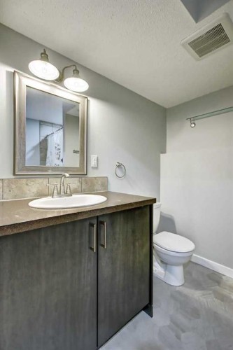 156 Copperfield Rise Se, Calgary, AB - Indoor Photo Showing Bathroom