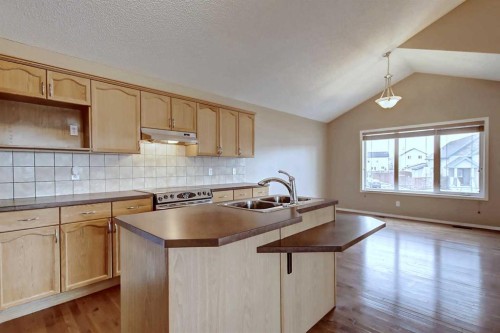 156 Copperfield Rise Se, Calgary, AB - Indoor Photo Showing Kitchen With Double Sink