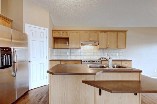 156 Copperfield Rise Se, Calgary, AB - Indoor Photo Showing Kitchen With Double Sink