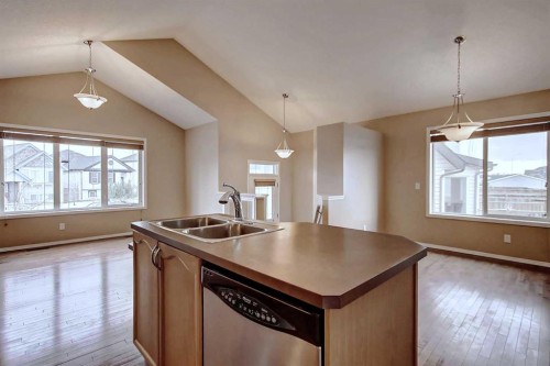 156 Copperfield Rise Se, Calgary, AB - Indoor Photo Showing Kitchen With Double Sink