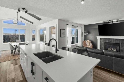 218 Coville Circle Ne, Calgary, AB - Indoor Photo Showing Other Room With Fireplace