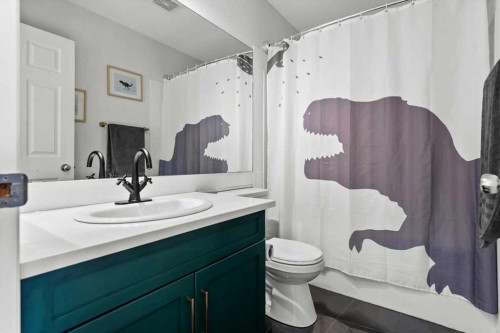 218 Coville Circle Ne, Calgary, AB - Indoor Photo Showing Bathroom