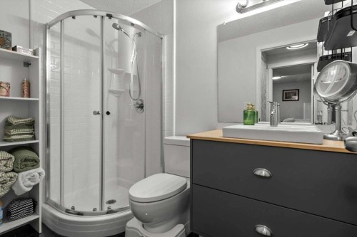 218 Coville Circle Ne, Calgary, AB - Indoor Photo Showing Bathroom