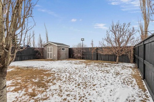 218 Coville Circle Ne, Calgary, AB - Outdoor