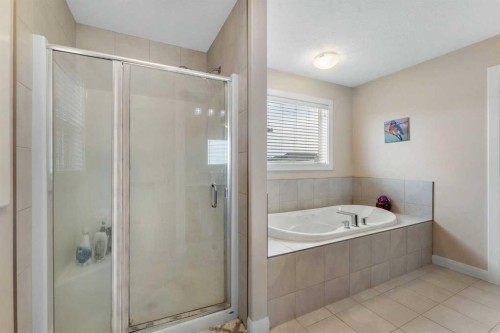 194 Redstone Park Ne, Calgary, AB - Indoor Photo Showing Bathroom