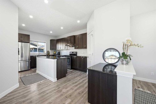 14 Skyview Point Road Ne, Calgary, AB - Indoor Photo Showing Kitchen With Upgraded Kitchen