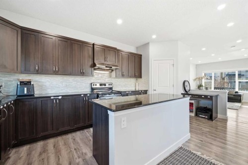 14 Skyview Point Road Ne, Calgary, AB - Indoor Photo Showing Kitchen With Upgraded Kitchen
