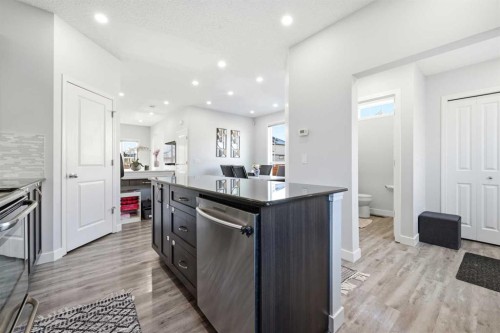 14 Skyview Point Road Ne, Calgary, AB - Indoor Photo Showing Kitchen With Upgraded Kitchen
