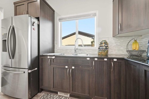 14 Skyview Point Road Ne, Calgary, AB - Indoor Photo Showing Kitchen With Double Sink With Upgraded Kitchen