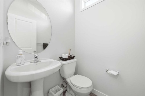 14 Skyview Point Road Ne, Calgary, AB - Indoor Photo Showing Bathroom