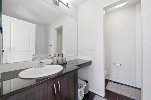 14 Skyview Point Road Ne, Calgary, AB - Indoor Photo Showing Bathroom