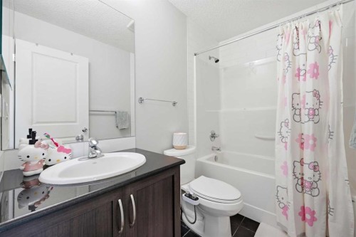 14 Skyview Point Road Ne, Calgary, AB - Indoor Photo Showing Bathroom