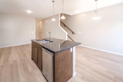 88 Legacy Mews Se, Calgary, AB - Indoor Photo Showing Kitchen With Double Sink
