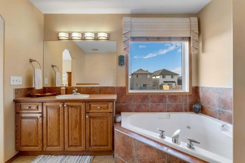 214 Saddlemont Boulevard Ne, Calgary, AB - Indoor Photo Showing Bathroom