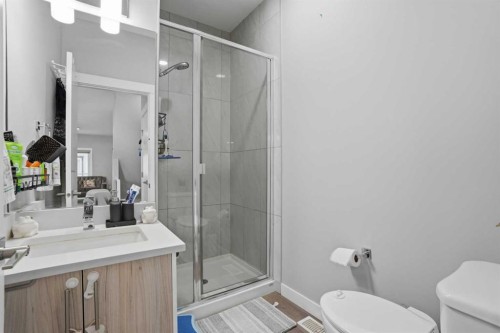 404-95 Skyview Close Ne, Calgary, AB - Indoor Photo Showing Bathroom