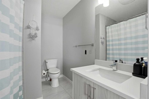 404-95 Skyview Close Ne, Calgary, AB - Indoor Photo Showing Bathroom