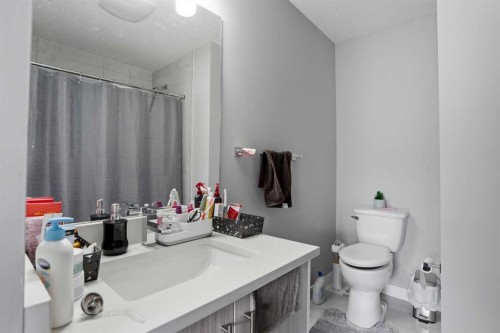 404-95 Skyview Close Ne, Calgary, AB - Indoor Photo Showing Bathroom