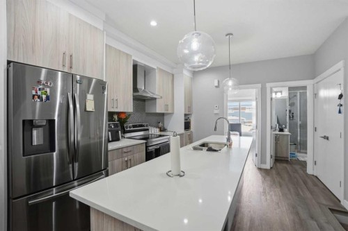 404-95 Skyview Close Ne, Calgary, AB - Indoor Photo Showing Kitchen With Stainless Steel Kitchen With Double Sink With Upgraded Kitchen
