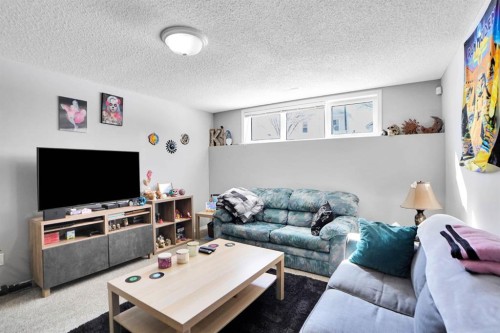 94 Inverness Park Se, Calgary, AB - Indoor Photo Showing Living Room