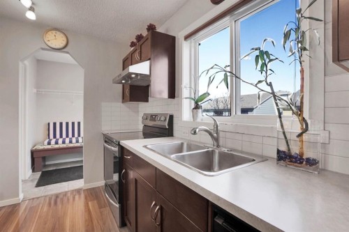 82 Walden Drive Se, Calgary, AB - Indoor Photo Showing Kitchen With Double Sink