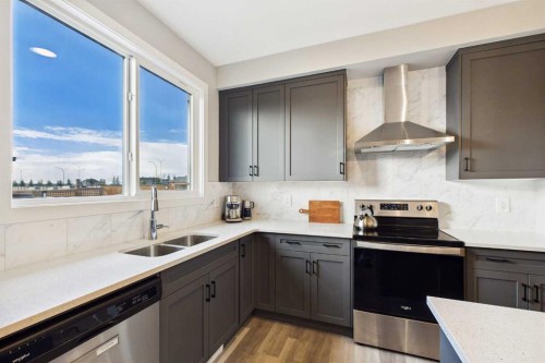 41 Heirloom Crescent Se, Calgary, AB - Indoor Photo Showing Kitchen With Stainless Steel Kitchen With Double Sink