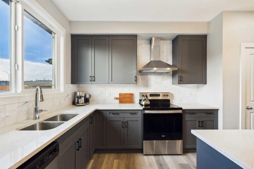 41 Heirloom Crescent Se, Calgary, AB - Indoor Photo Showing Kitchen With Double Sink