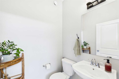 41 Heirloom Crescent Se, Calgary, AB - Indoor Photo Showing Bathroom