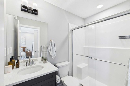 41 Heirloom Crescent Se, Calgary, AB - Indoor Photo Showing Bathroom