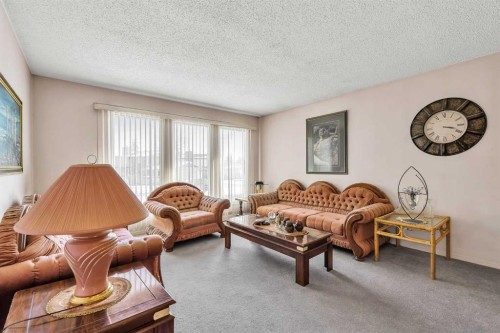 55 Midlake Place Se, Calgary, AB - Indoor Photo Showing Living Room