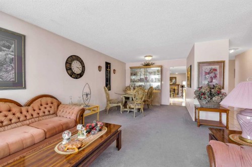 55 Midlake Place Se, Calgary, AB - Indoor Photo Showing Living Room
