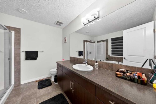 7 Redstone Park Ne, Calgary, AB - Indoor Photo Showing Bathroom