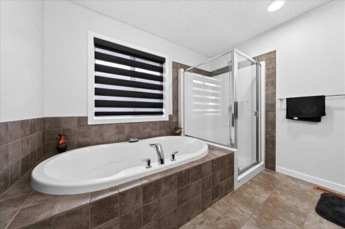 7 Redstone Park Ne, Calgary, AB - Indoor Photo Showing Bathroom