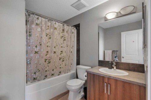 34 New Brighton Point Se, Calgary, AB - Indoor Photo Showing Bathroom
