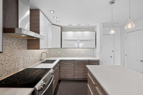 304-512 Cedar Crescent Sw, Calgary, AB - Indoor Photo Showing Kitchen With Double Sink With Upgraded Kitchen