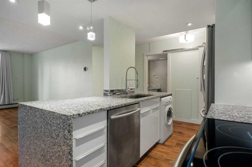 206-1027 Cameron Avenue Sw, Calgary, AB - Indoor Photo Showing Kitchen With Upgraded Kitchen