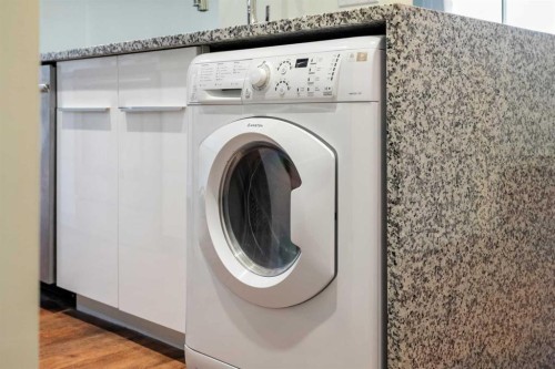 206-1027 Cameron Avenue Sw, Calgary, AB - Indoor Photo Showing Laundry Room