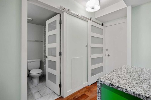 206-1027 Cameron Avenue Sw, Calgary, AB - Indoor Photo Showing Bathroom