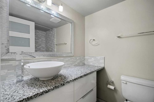 206-1027 Cameron Avenue Sw, Calgary, AB - Indoor Photo Showing Bathroom