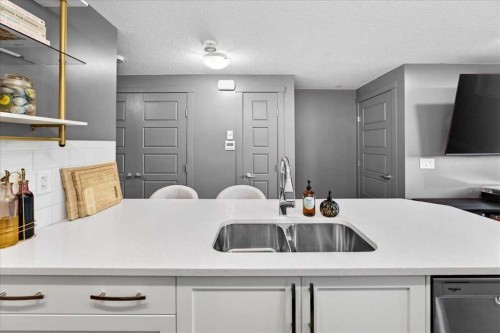 216-474 Seton Circle Se, Calgary, AB - Indoor Photo Showing Kitchen With Double Sink