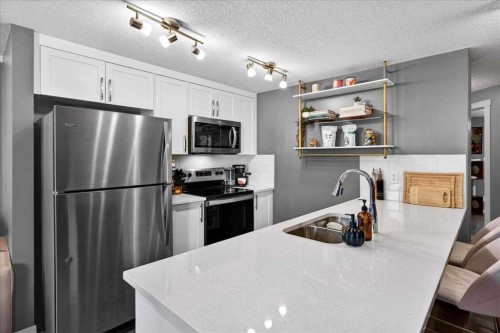 216-474 Seton Circle Se, Calgary, AB - Indoor Photo Showing Kitchen With Double Sink With Upgraded Kitchen