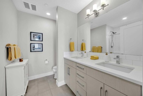 210-38 Quarry Gate Se, Calgary, AB - Indoor Photo Showing Bathroom
