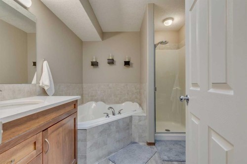 100 Royal Oak Terrace Nw, Calgary, AB - Indoor Photo Showing Bathroom