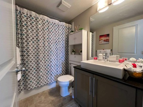 1406-155 Skyview Ranch Way Ne, Calgary, AB - Indoor Photo Showing Bathroom