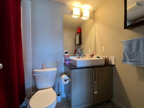 1406-155 Skyview Ranch Way Ne, Calgary, AB - Indoor Photo Showing Bathroom