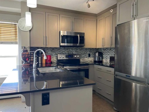 1406-155 Skyview Ranch Way Ne, Calgary, AB - Indoor Photo Showing Kitchen With Double Sink
