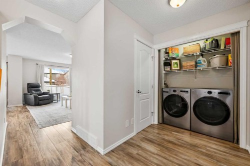 8 Chapalina Crescent Se, Calgary, AB - Indoor Photo Showing Laundry Room